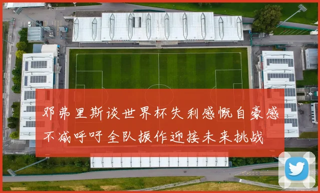 邓弗里斯谈世界杯失利感慨自豪感不减呼吁全队振作迎接未来挑战